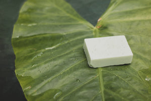 ratero ("thieves' oil") soap